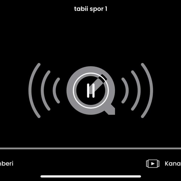 Tabii Üyelikte Maç İzleme Sorunu