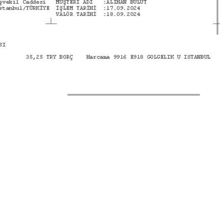 Denizbank Debit Tran Name