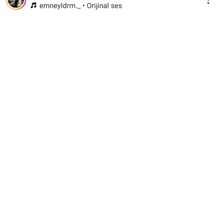 Samsung S22 Ultra Ekran Yanığı