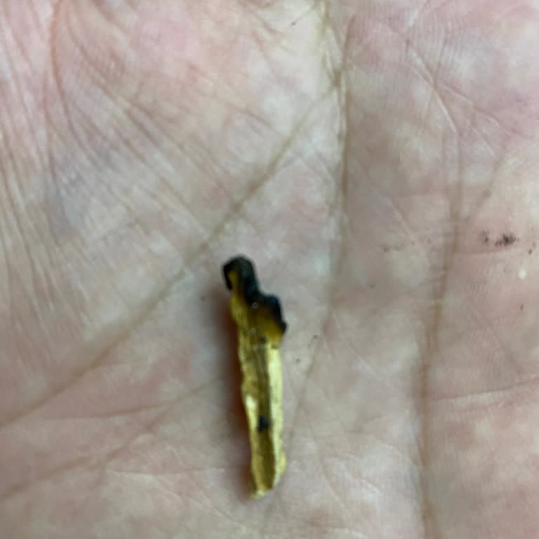 Sigaramiz.com Tütün Değil Odun