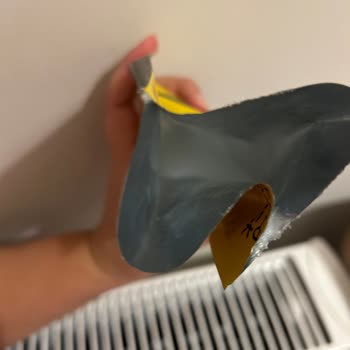 Bee Beauty Animal Butterfly Brightening Mask