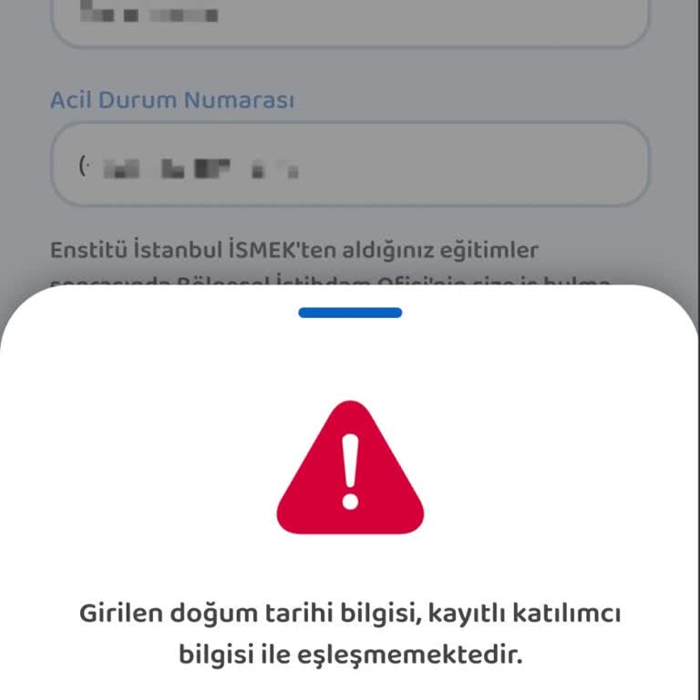 İSMEK Ve İstanbul Senin Uygulamasında Yaşanan Sorunlar