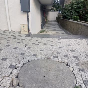 İstanbul Büyükşehir Belediyesi Rögar Kapağı Eksikliği Ve Fare Sorunu