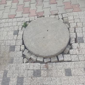 İstanbul Büyükşehir Belediyesi Rögar Kapağı Eksikliği Ve Fare Sorunu