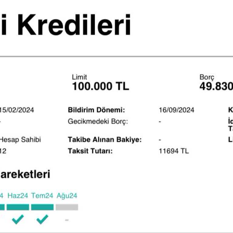 Findeks Kredi Ödememe Rağmen Gri Gözüküyor