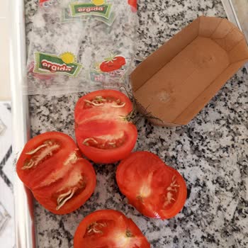 A101 Domatesin İçi Filizlenmiş