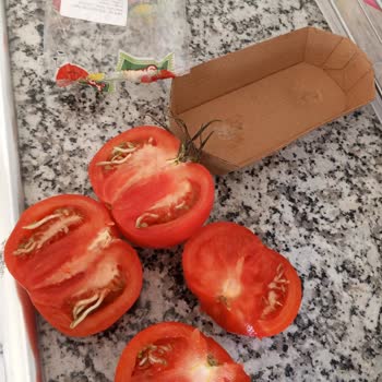 A101 Domatesin İçi Filizlenmiş