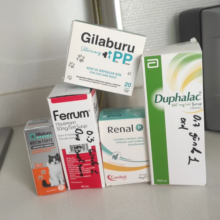 Beşiktaş Veteriner Kliniği Yanlış Teşhis Ve İhmallerle Tehlikeye Atılan Kedimiz