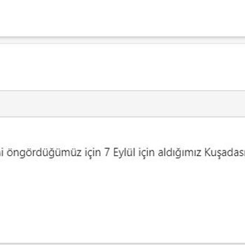 Feribotlines Muhatap Bulmak İmkansız