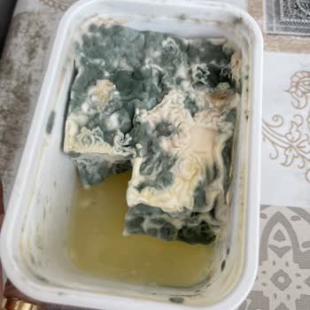 Arçelik Buzdolabı Sorunları ve Mağduriyet