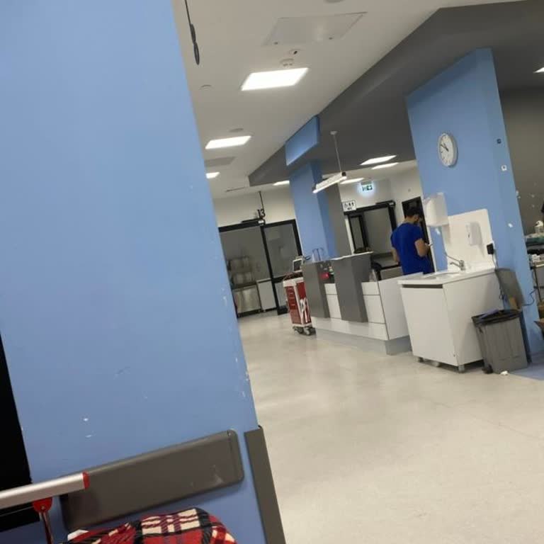 İzmir Bayraklı Şehir Hastanesi Şehir Hastanesi Rezil