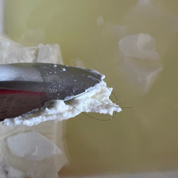 BİM Tava Yoğurt Kıl Çıktı!