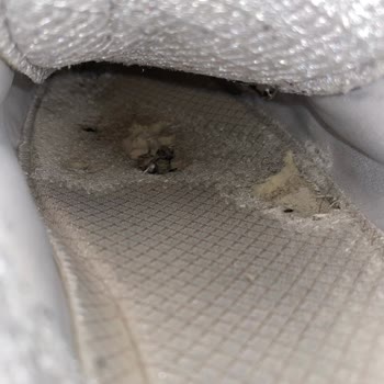 Sketchers Garantili, Hasarlı Ayakkabılar İçin Hiçbir Sorunu Çözmüyor