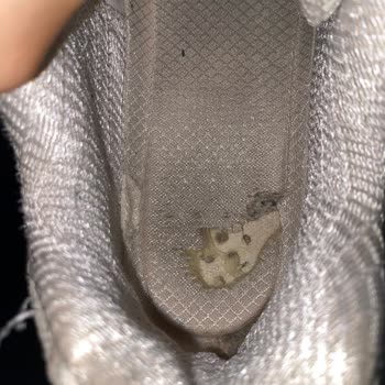 Sketchers Garantili, Hasarlı Ayakkabılar İçin Hiçbir Sorunu Çözmüyor