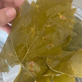 Yasmin Doğal (ege_salamur_) Ürün Kalitesi Ve Müşteri Hizmetleri Sorunları