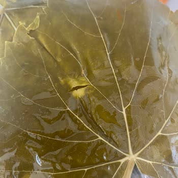 Yasmin Doğal (ege_salamur_) Ürün Kalitesi Ve Müşteri Hizmetleri Sorunları