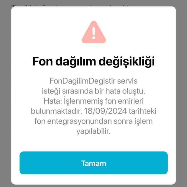 BES Sistemiyle İlgili Yaşadığım Sorunlar