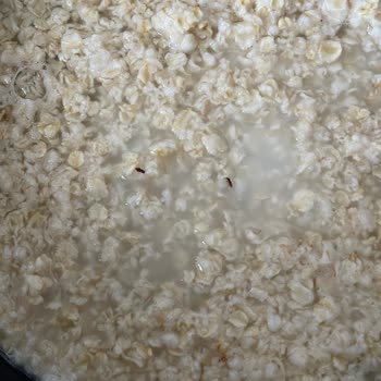 Eti Gıda Eti Yulaftan Böcekler Çıktı