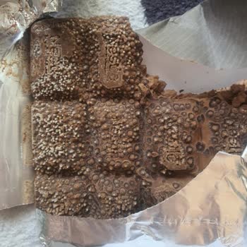 Nestle 1927 Bozuk Çikolata