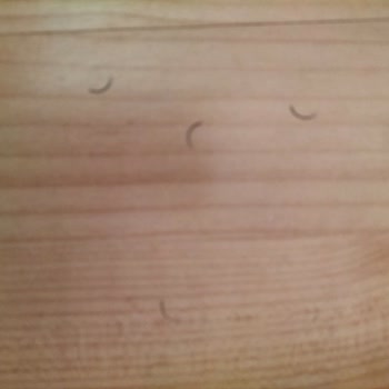 The Beauty Lounge Güzellik Salonunda Kötü Hizmet Ve İlgisizlik