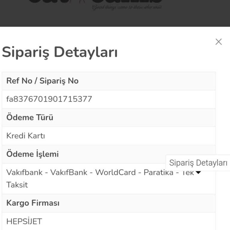 Catcanis Siparişimden Hiçbir Haber Yok