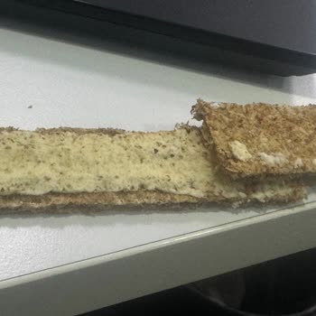 Migros Wasa Ürününden Kurt Çıkması