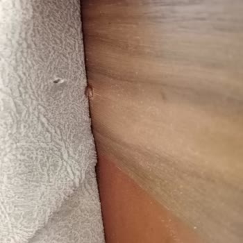 Kaya Mobilya Sürekli Ertelenen Değişim Ve Yanlış Renk Sorunu