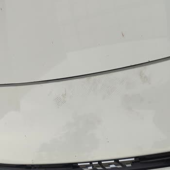 Fiat Birmot Ovaakça Servis Danışmanı