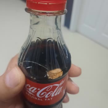 Coca-Cola Coca Colanın İçinde Yabancı Cisim