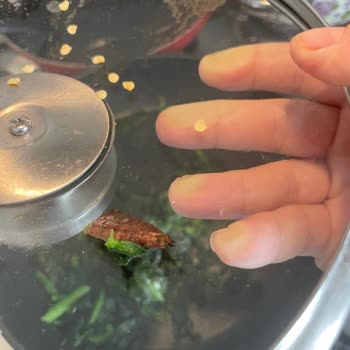 Superfresh Dondurulmuş Ispanakta Böcek Şoku!