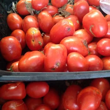 Hakmar Express Hakmar Manav Çalışanından Şikayetçiyim