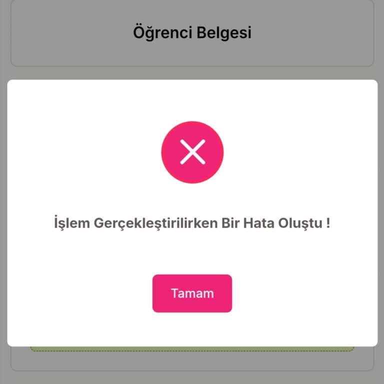 TEV Bursu Başvurusunda PDF Yükleme Sorunu