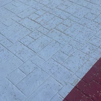 Zbs Boya Hayal Kırıklığı