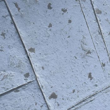 Zbs Boya Hayal Kırıklığı