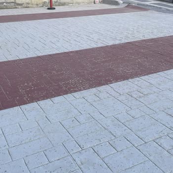 Zbs Boya Hayal Kırıklığı