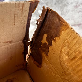 Rossmann Kusurlu Ürünü Tedarik Edemeyecek Kadar Kurumsal!