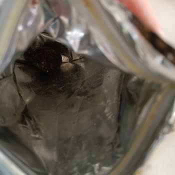 Züber Paketten Bozuk Çıkan Ürün Son Tüketim Tarihi Yazmıyor