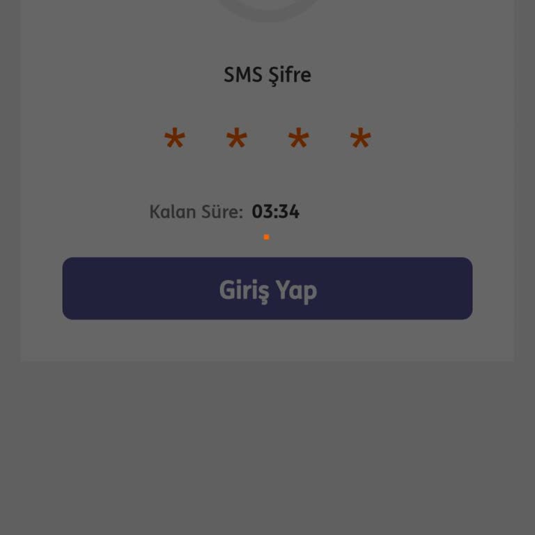 ING Uygulama Şifre Alamıyorum
