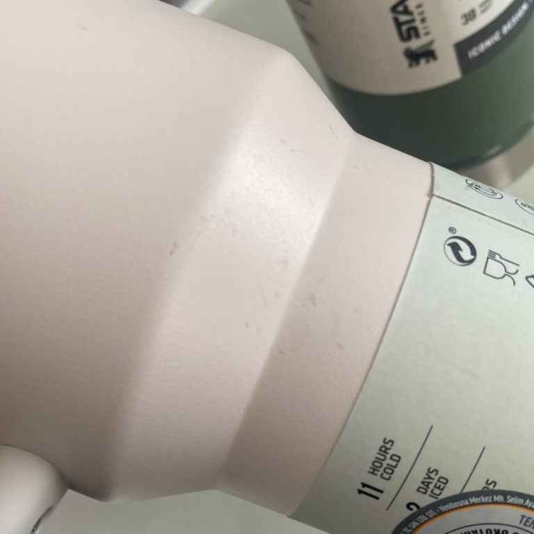 Stanley Termos Kutup Ayısı