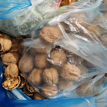 Şok Marketler Kurtlu Örümcekli Ceviz