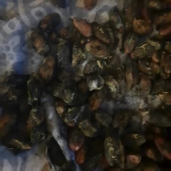 Sürat Kargo Beylikdüzü Yine Koli Kaybetti, Bulana Kadar Ürünler Çürüdü