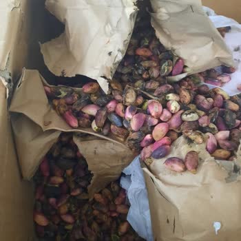 Sürat Kargo Beylikdüzü Yine Koli Kaybetti, Bulana Kadar Ürünler Çürüdü