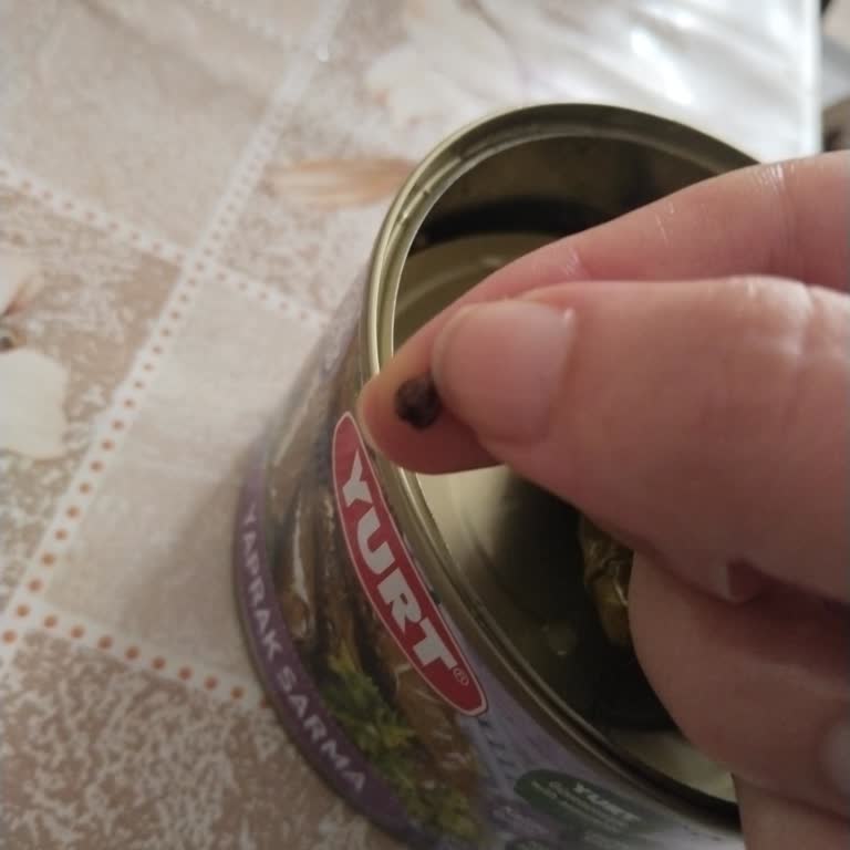 Yurt Konserve Yurt Sarmasından Taş Çıktı