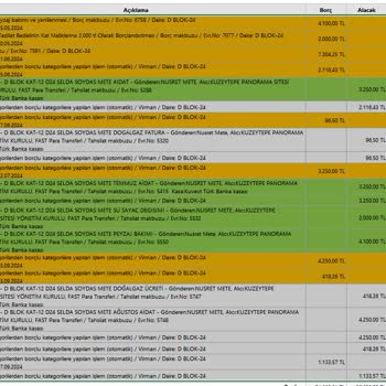 Apsiyon Yönetim Sistemi / Hesaplarla İstenilen Şekilde Oynanması