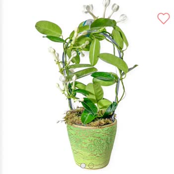 Salonbitkileri.com Yanlış Ürün Gönderimi Ve Müşteri Hizmetleri Sorunu