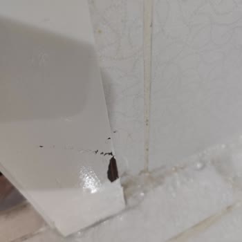 Marshall Boya Boya Kalkması Tutmaması