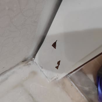 Marshall Boya Boya Kalkması Tutmaması