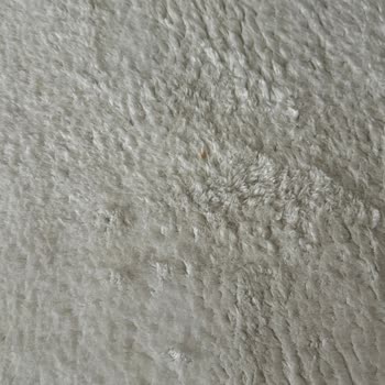 Oksijen Halı Yıkama Halılarım Lekeli Geldi Ve Yanıltıcı Fiyat Bilgisi