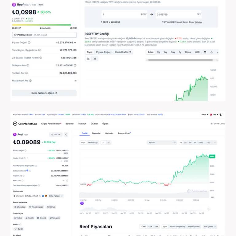 Paribu'da Reef Coin Fiyat Manipülasyonu İddiası