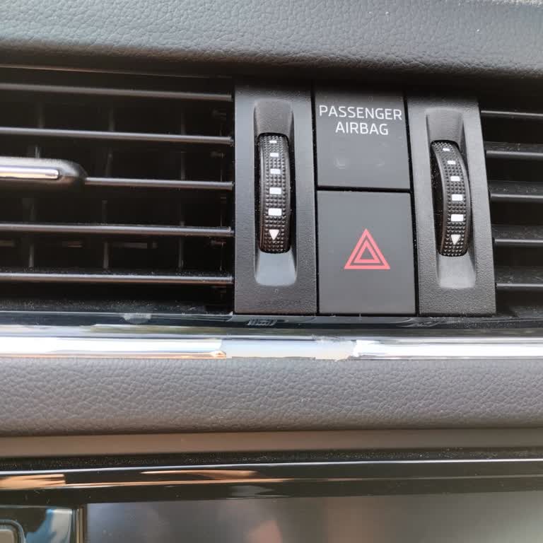 Skoda Octavia 2019 Boya Soyulması